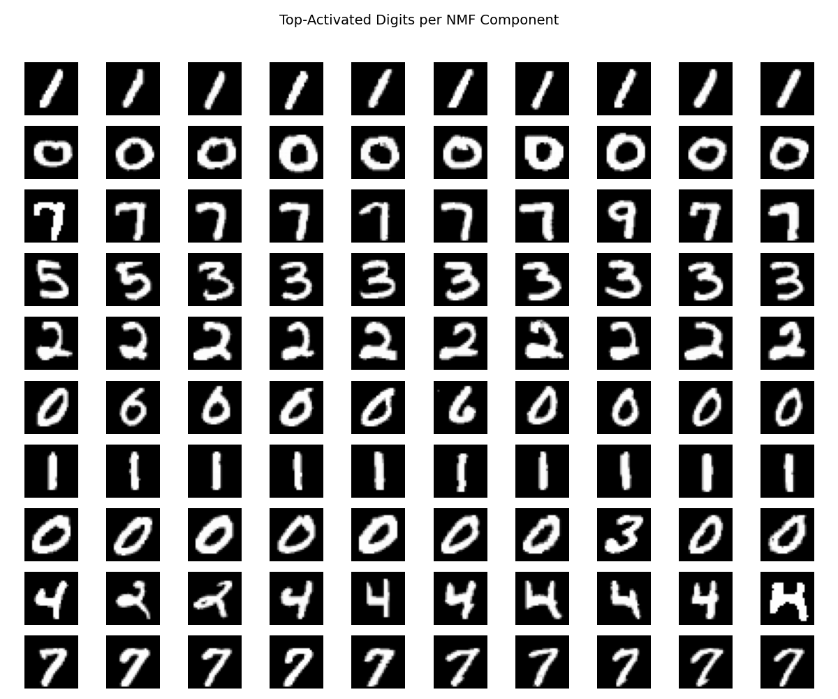 NMF Top Activations